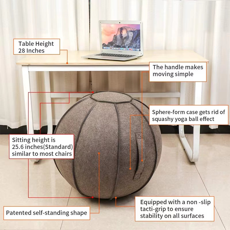 Exercise Sitting Ball Chair